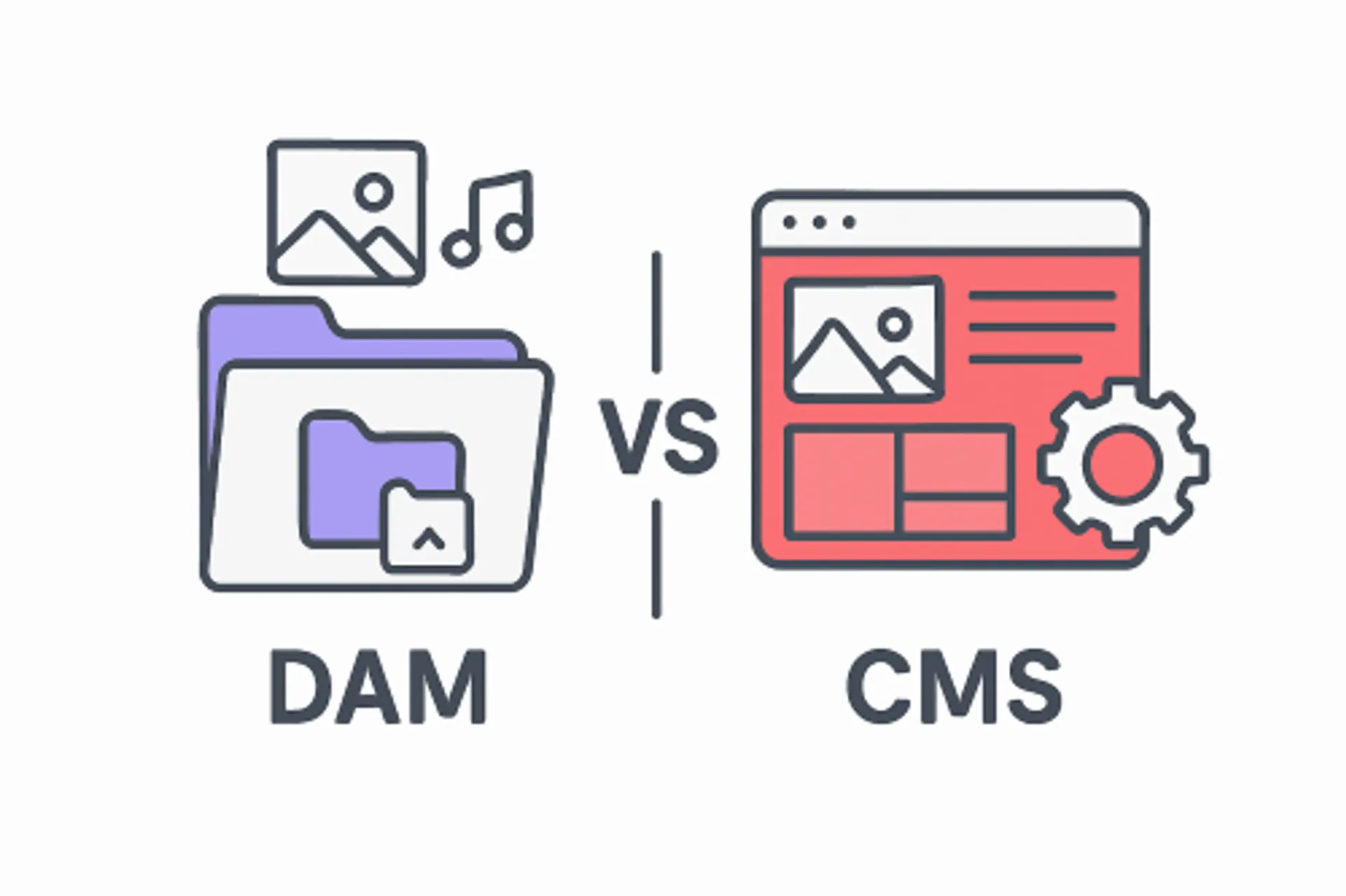  dam vs cms
